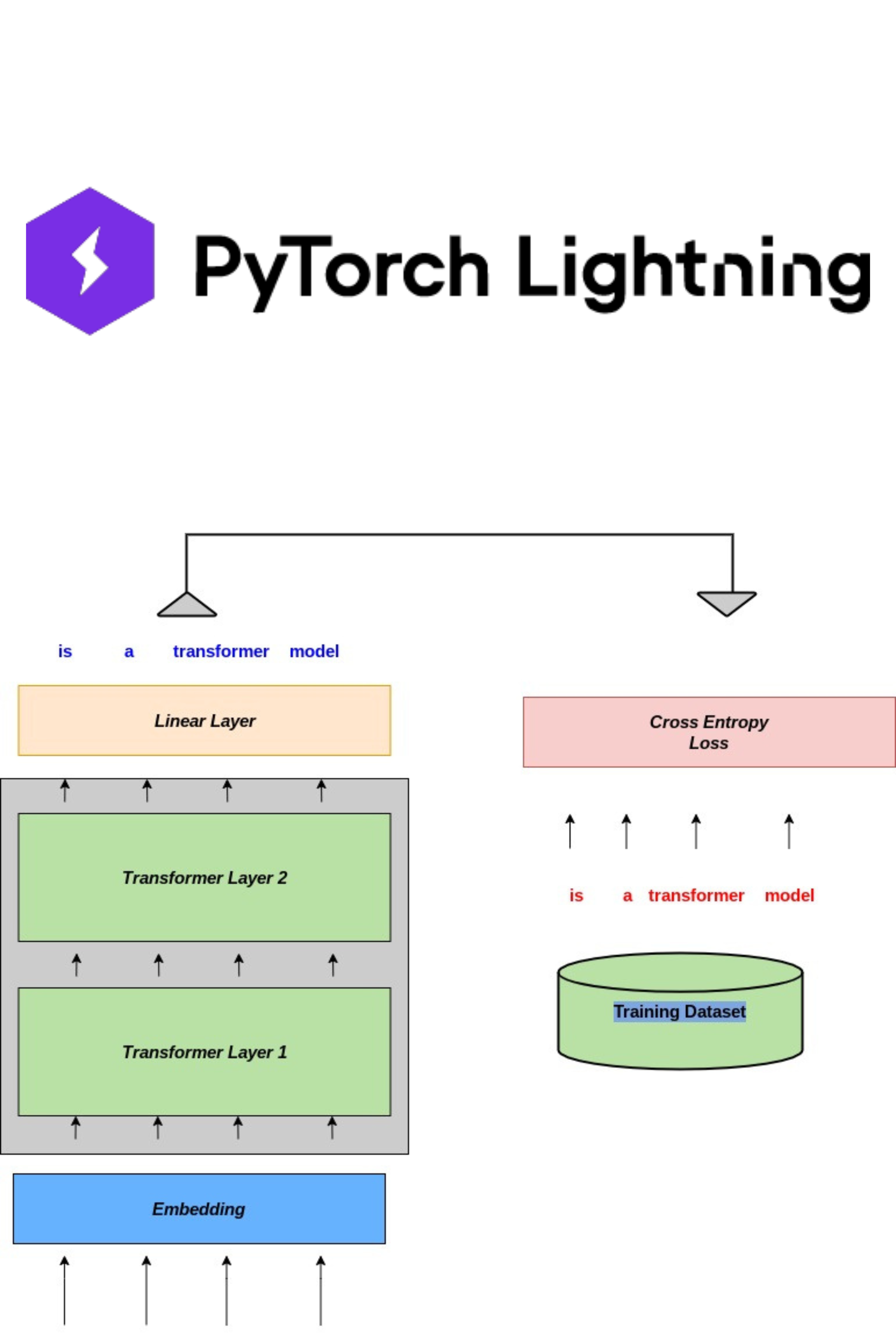 TLT: Transformer Lightning Language Model
